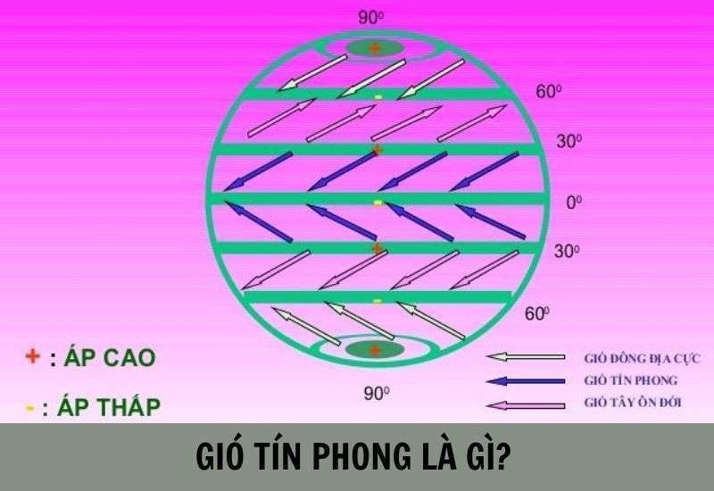 Gió tín phong, với tính chất ổn định và hướng gió tương đối nhất quán, đóng vai trò quan trọng trong việc điều tiết khí hậu và thời tiết của nhiều khu vực trên thế giới.