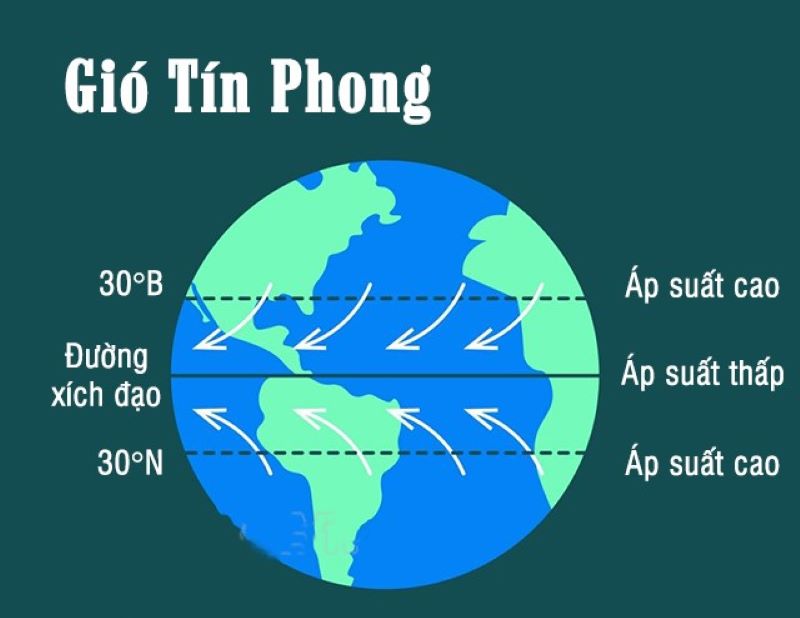 Gió tín phong là gì? Đây không chỉ là một hiện tượng thời tiết bình thường mà nó là một lực lượng tự nhiên có thể định hình khí hậu và hệ sinh thái trên Trái Đất.