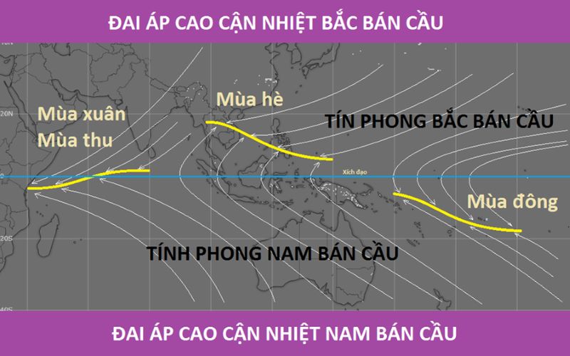 Gió tín phong, hay còn gọi là gió mậu dịch, là một hiện tượng khí tượng quan trọng ảnh hưởng đến khí hậu và thời tiết trên toàn cầu.