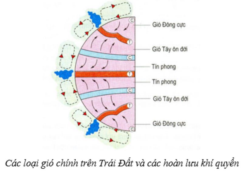 Gió Tín Phong hình thành và di chuyển như thế nào?