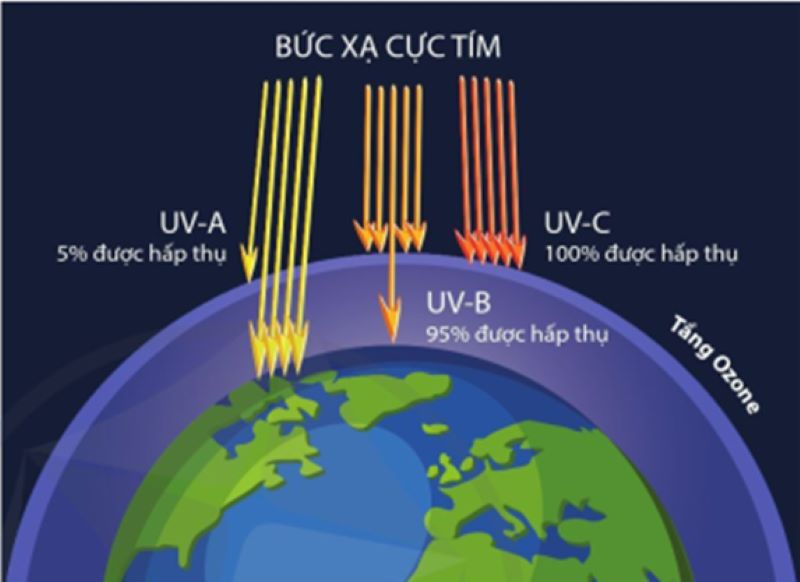 Tầng ozon đóng vai trò như một lá chắn tự nhiên bảo vệ sự sống trên Trái Đất khỏi tác động của bức xạ UV có hại.