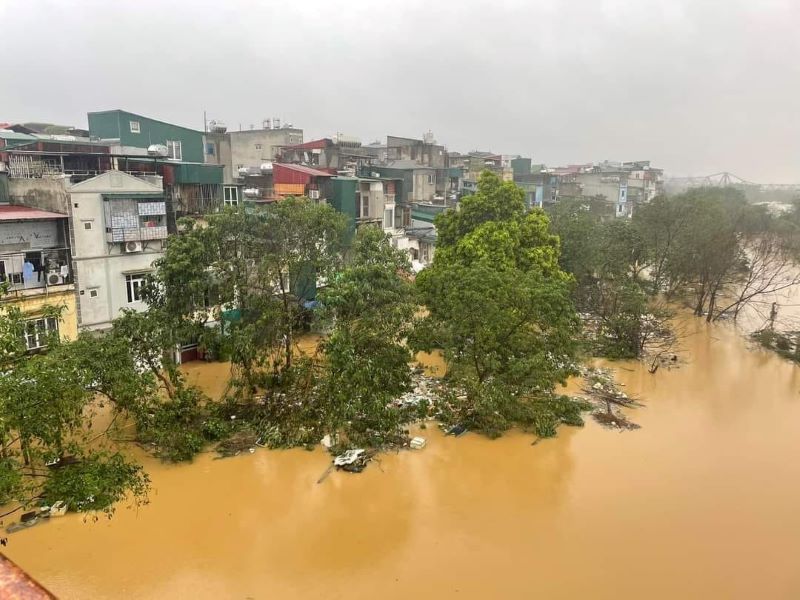 Dự báo thời tiết ngày 12/9/2024 – Bắc Bộ lũ lụt, Trung và Nam Bộ mưa lớn kéo dài