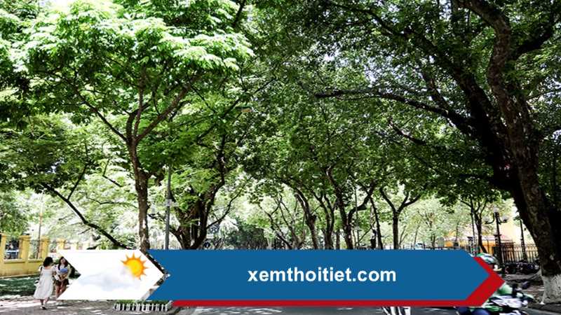 Thời tiết 22/01/2025